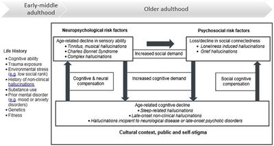 Hallucinations in Healthy Older Adults: An Overview of the Literature and Perspectives for Future Research